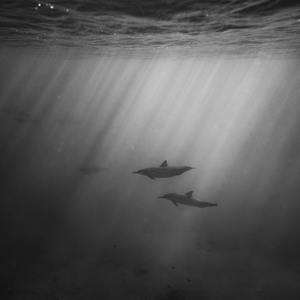 美女呻吟震动器高潮视频
